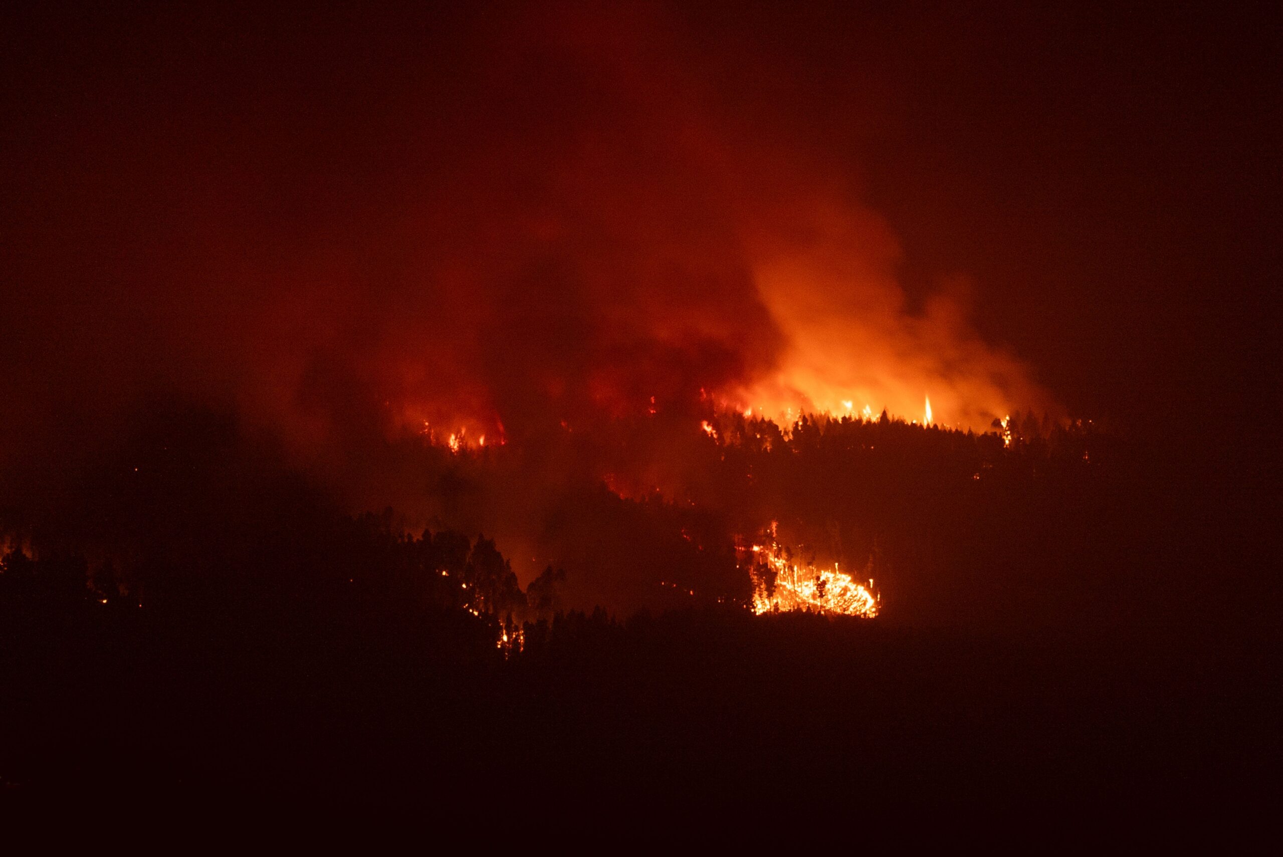 INCENDIO E FRANA A POSITANO SULLA SS 163 AMALFITANA: L’ENNESIMO SEGNALE D’ALLARME. SERVE UN PIANO STRAORDINARIO PER LA FORESTAZIONE E IL DISSESTO IDROGEOLOGICO